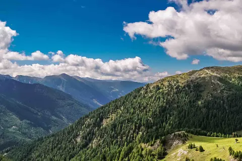 Alpine panorama with forested mountain slopes, green alpine pastures and clouds in a blue sky