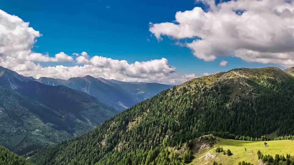 Alpine panorama with forested mountain slopes, green alpine pastures and clouds in a blue sky Alpine Longevity