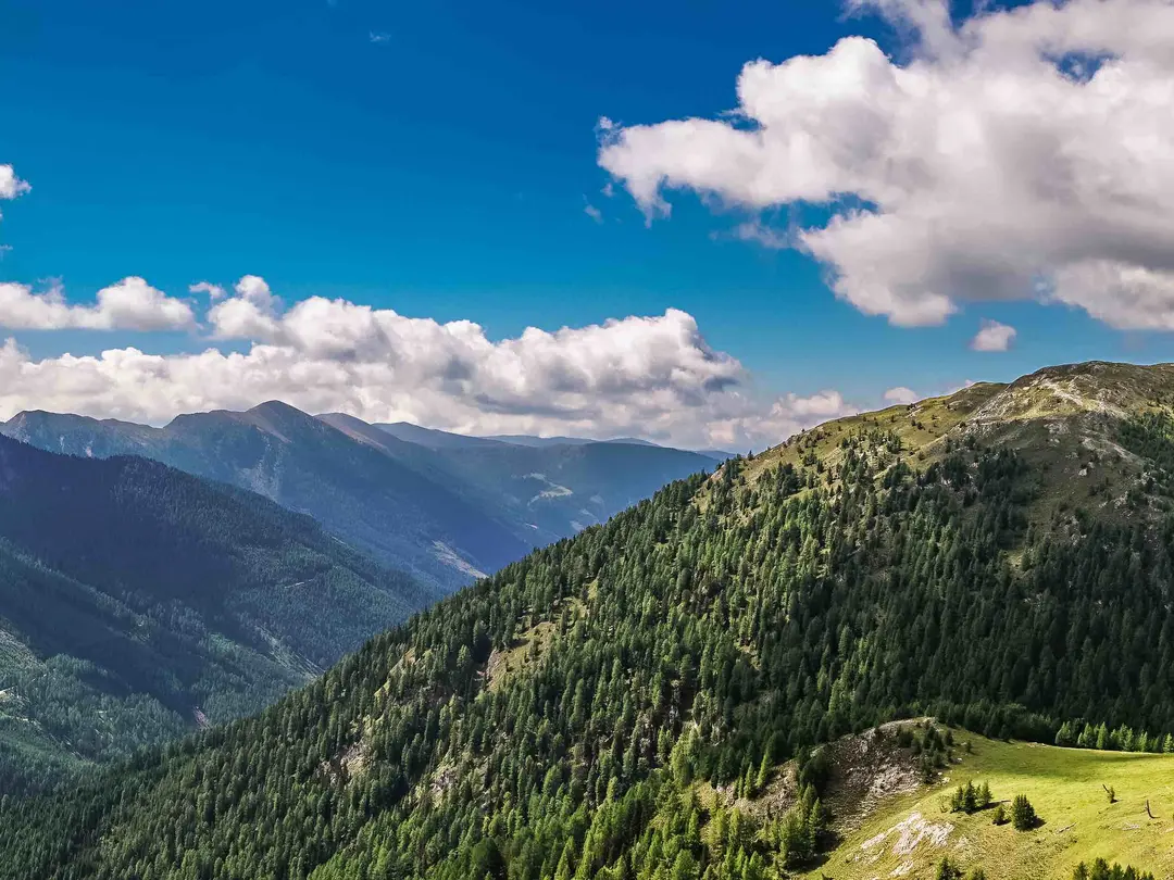 Alpine panorama with forested mountain slopes, green alpine pastures and clouds in a blue sky Alpine panorama with forested mountain slopes, green alpine pastures and clouds in a blue sky